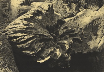Richard Noyce
'Rhiew'
Lithograph
315mm x 445mm